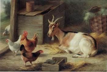 unknow artist poultry  162 Spain oil painting art